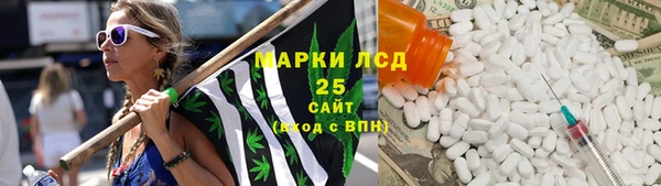 дмт Бородино