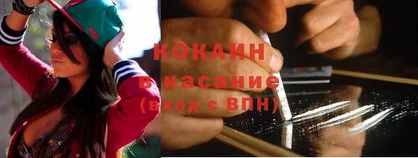 амф Богданович