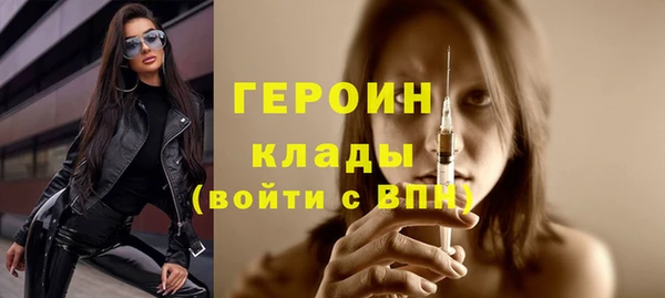 дмт Бородино