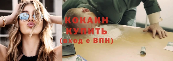 амф Богданович