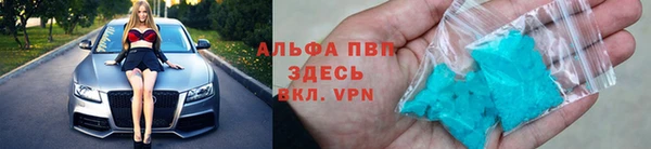 стафф Белокуриха