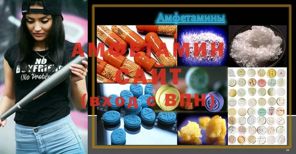 дмт Бородино