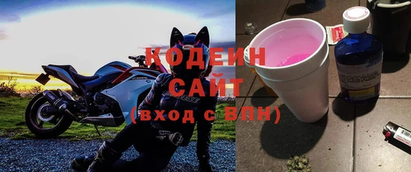 дмт Бородино