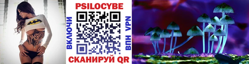 закладка Ефремов Псилоцибиновые грибы ЛСД